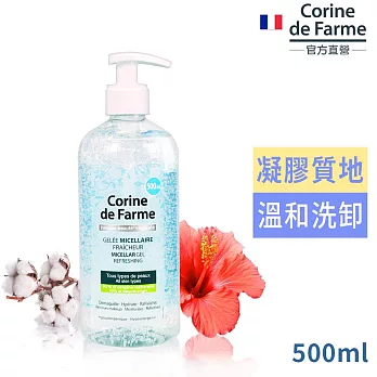 法國黎之芙淨妍高效保濕潔膚凝膠500ml