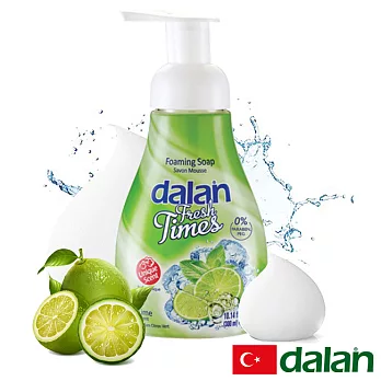 【土耳其dalan】抗菌萊姆洗手慕斯 300ml