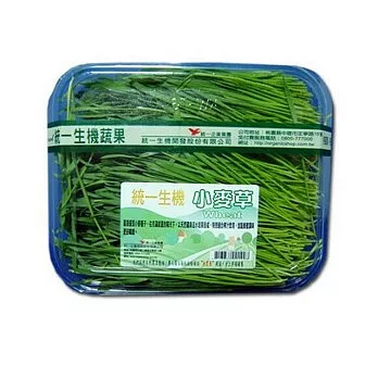 【統一生機】小麥草粉  如何培植有機小麥草與製作回春水  【統一生機】小麥草有抑制癌細胞滋生的功效???(神奇的小麥草)