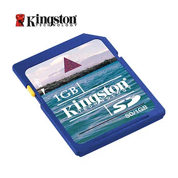 Kingston金士頓 1GB SD記憶卡