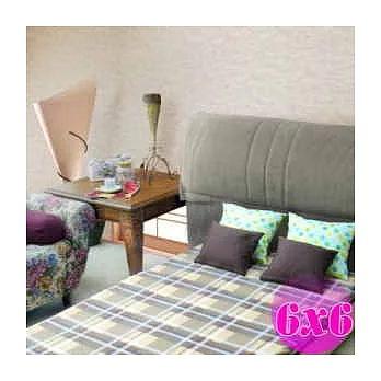 【普普風】特寧詩雲柔大青孟宗竹冬夏兩用床墊- 雙人加大