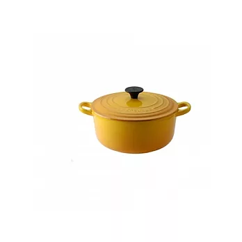 LE CREUSET－圓形鑄鐵鍋（芥末黃．直徑20cm）