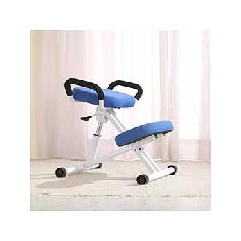 【潮傢俬】愛因斯坦人體工學椅-藍