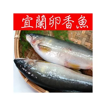 【優鮮配】宜蘭特選卵香魚1kg(5尾/一尾約200g)