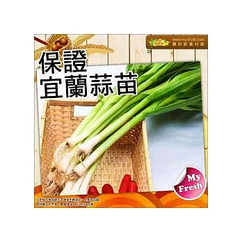 【買新鮮】宜蘭蒜苗(約200g/袋)