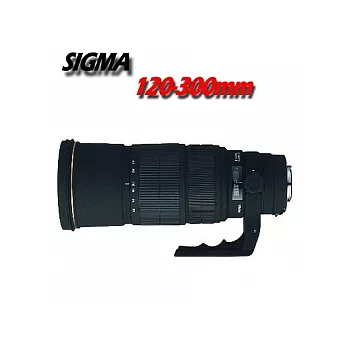 SIGMA APO 120-300mm F2.8 EX DG IF HSM(平行輸入) FOR NIKON