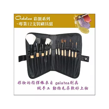 GALATEA葛拉蒂-彩顏系列- 12支裝刷具+可站立收納套