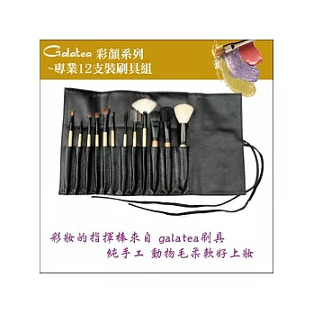 GALATEA葛拉蒂-彩顏系列- 12支裝專業刷具組