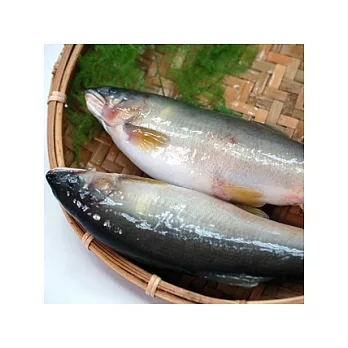 【優鮮配】宜蘭特選卵香魚5尾X2件含運組(每尾約200g)