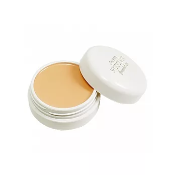 SHISEIDO 資生堂 完美遮瑕蜜(20g)(S100自然膚色)