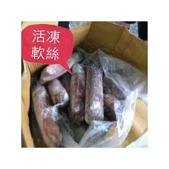 【治聖】活凍軟絲*1條(約1公斤裝)