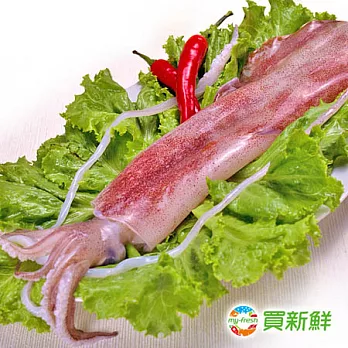 買新鮮[免運]★澎湖活凍生小管[買四送四] (急速冷凍)(300g)300g±10% x 8