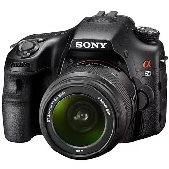 SONY STL A65(附18-55+55-200mm )雙鏡組(中文平輸)+SD16G+防震雙鏡包+外出腳架+4合1讀卡機+清潔組+保護貼黑