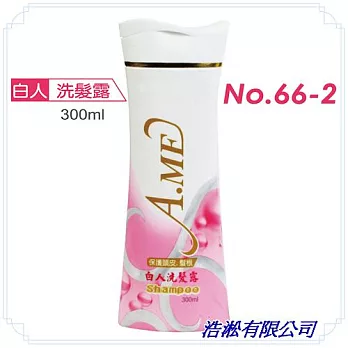 白人MIT洗髮露300ml*10瓶組NO.66-2