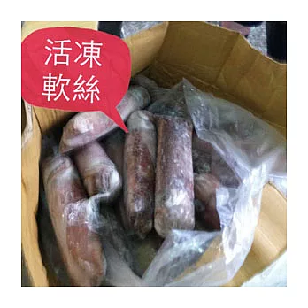 軟絲1條(約重1公斤)