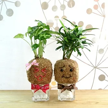 迎光-冏冏&蜜蜜苔球組