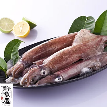 【鮮魚屋】極鮮活體船凍透抽600g*4包