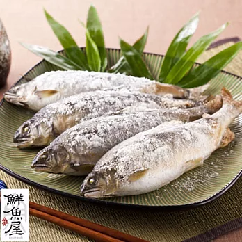 【鮮魚屋】宜蘭超大隻爆卵母香魚2kg