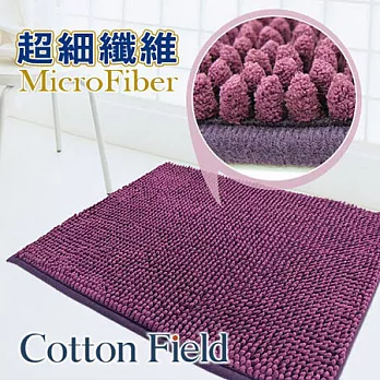 超值2入【棉花田-荳荳】超細纖維吸水防滑踏墊-紫色