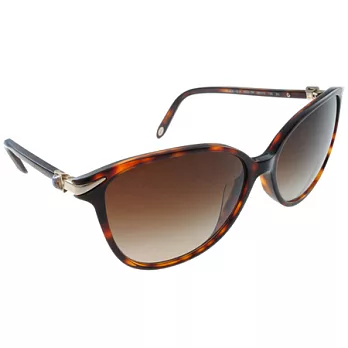 Tiffany&CO;.太陽眼鏡(TF4061GA 80023B) #方晶款-琥珀色