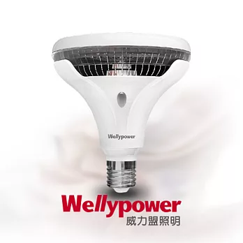 Wellypower威力盟 LED par38 14W 保證MIT暖白色(黃光)
