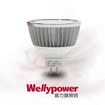 Wellypower威力盟 LED MR16 5W 投射杯燈(黃光3入)黃光