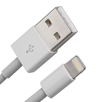 (二入)iPad 4 / iPad mini / iPhone 5 / iPod touch 5 / iPod nano 7 Lightning to USB 傳輸充電