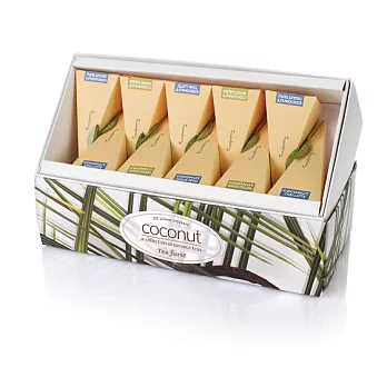 Tea Forte 南島椰香 寧心茶集 Coconut Ribbon Box