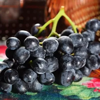 《阿洲水果》南非黑無子葡萄(4.5kg)