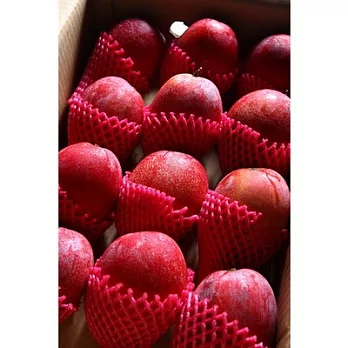 《阿洲水果》《枋山》在欉紅愛文芒果(12粒)