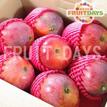 【預購專案】《鮮果日誌》枋山極品愛文芒果(5台斤禮盒裝)