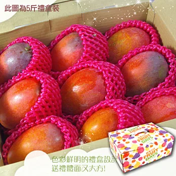 【預購專案】《鮮果日誌》枋山極品愛文芒果(5台斤禮盒裝/5~6顆) (極)