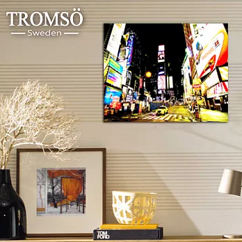 TROMSO瑞典時尚無框畫/都會邁阿密