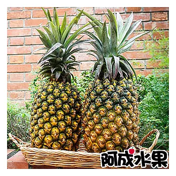 【阿成水果】嚴選金鑽鳳梨(1.5kg×2支)