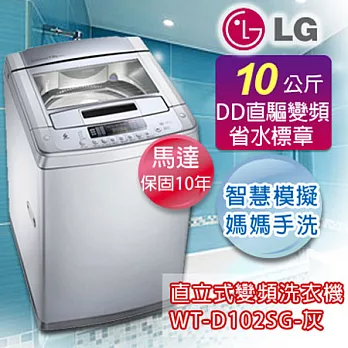 LG 樂金10公斤6MOTIONDD變頻洗衣機 WT-D102SG