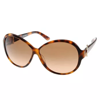 Salvatore Ferragamo太陽眼鏡 (琥珀色) #SF611SR 214