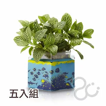 ecofun2U亞緹米斯(5入) -海底世界