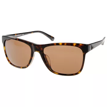 【金橘眼鏡】EMPORIO ARMANI太陽眼鏡 (琥珀色) #EA4002F 502673