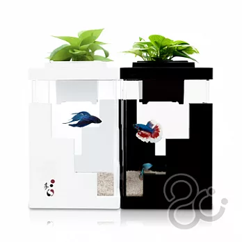 花魚共生新主張ecofun2U步步高昇直立式魚缸 - 黑白對缸組合