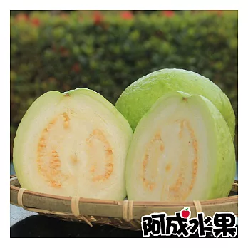 【阿成水果】南台灣珍珠芭樂(7.5台斤/件)