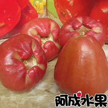 【阿成水果】南台灣特選蓮霧(4.5台斤/盒)