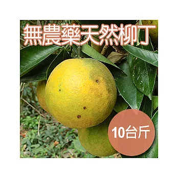 【農夫家】無農藥天然柳丁，10台斤免運