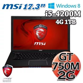 微星MSI GE70 i5-4200M 1TB大硬碟 17.3吋Win8 遊戲機筆電(GE70 2OC-BB54204G1T0S8M)