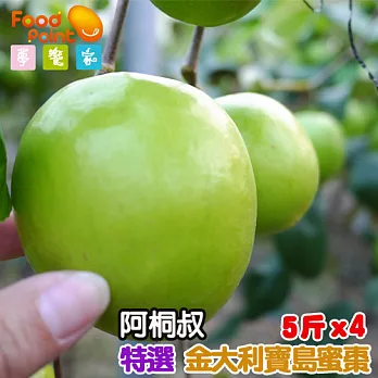 【夢饗家】楠西阿桐叔★金大利蜜棗★吉園圃果園現採直送-5斤箱*4箱 - 2.5兩/粒(±10%)