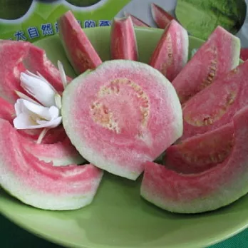 [國光生態園區]胭脂芭樂(5斤)(含運)