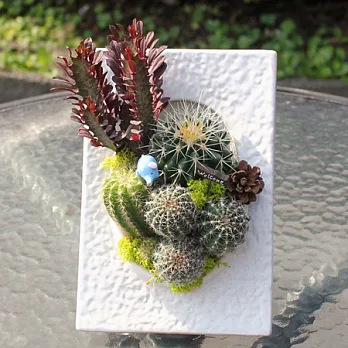 迎光-熱情畫意植栽