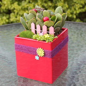 迎光-悠然自得植栽(紅)