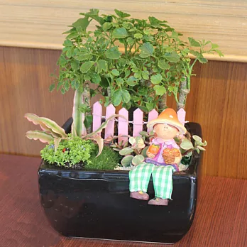 迎光-漫遊綠境植栽(黑)