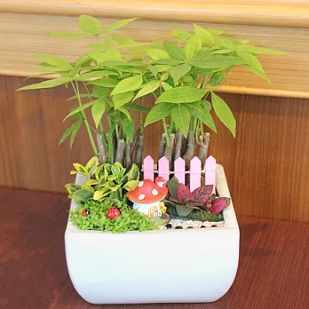 迎光-漫遊綠境植栽(白)