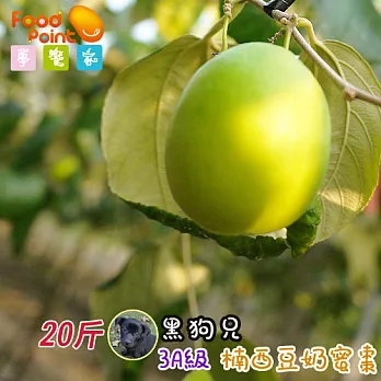 【夢饗家】楠西黑狗兄豆奶蜜棗★3A級限量搶購(4兩/顆±10%) 共4箱 - 每箱5斤±10%